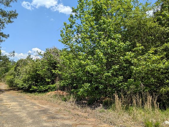 5th image of 0 Dorton Creek Rd