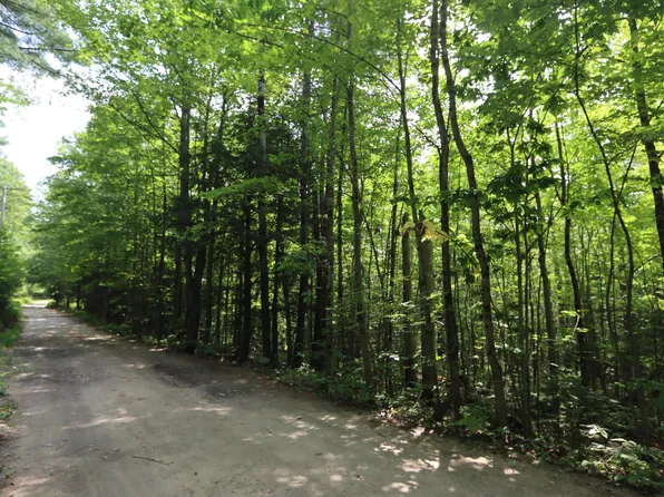 Lot 16D Old Towle Road, Dixfield, ME 04224