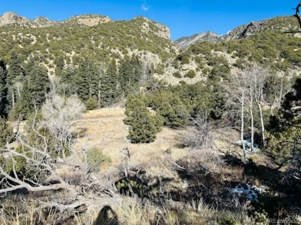 184 Cedar Ridge Road, Mosca, CO 81146