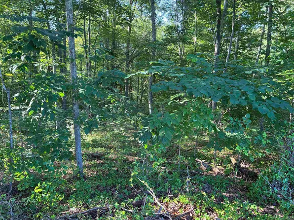 312 Vaughn Rd, Louisa, KY 41230