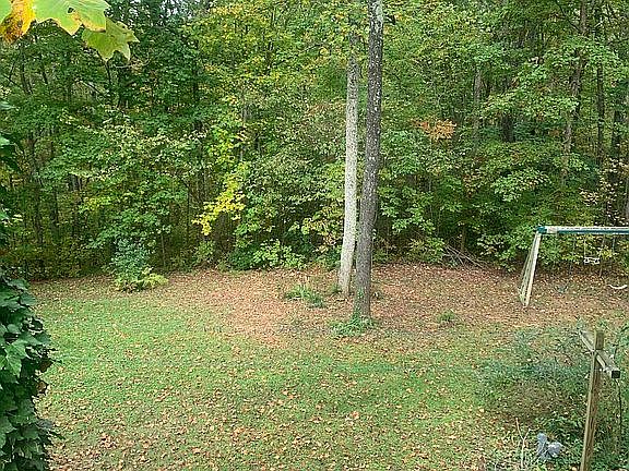 4th image of 951 Ravenwood Dr