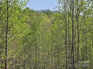 LOT 17 Touch Me Not Trl, Lake Lure, NC 28746