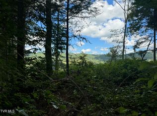 221 Shell Creek Rd, Roan Mountain, TN 37687