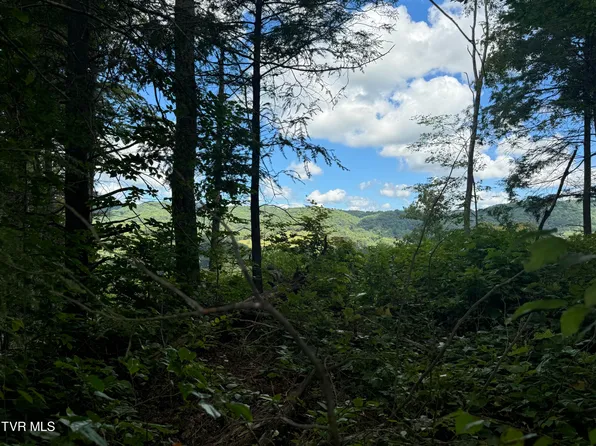 221 Shell Creek Rd, Roan Mountain, TN 37687