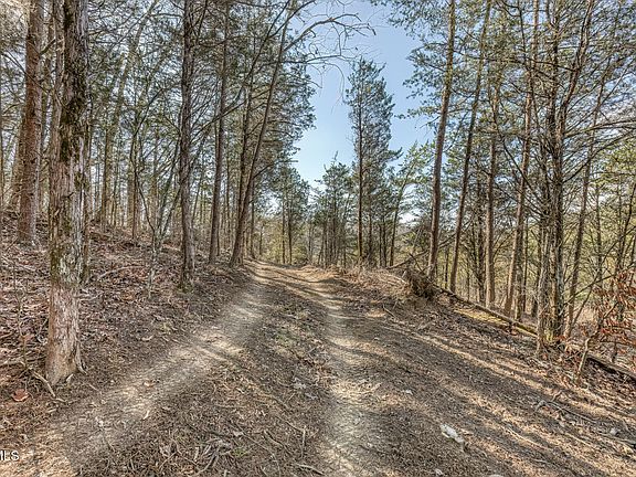3rd image of 195 Fork Brance Rd N