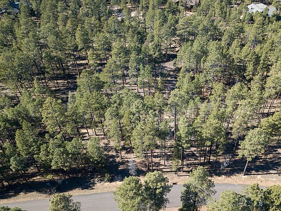 3rd image of 1440 S Bristle Cone Dr