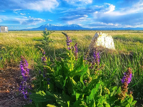 Chicosa Dr N Lot 174, Walsenburg, CO 81089