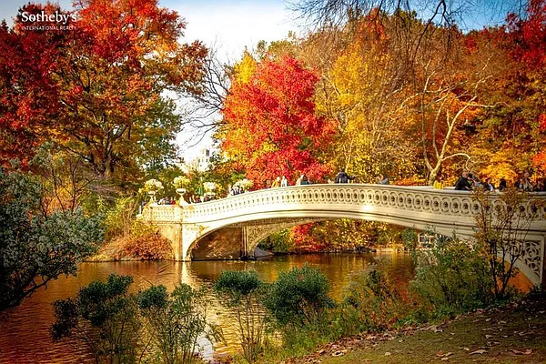 Rented by Sotheby's International Realty | media 10