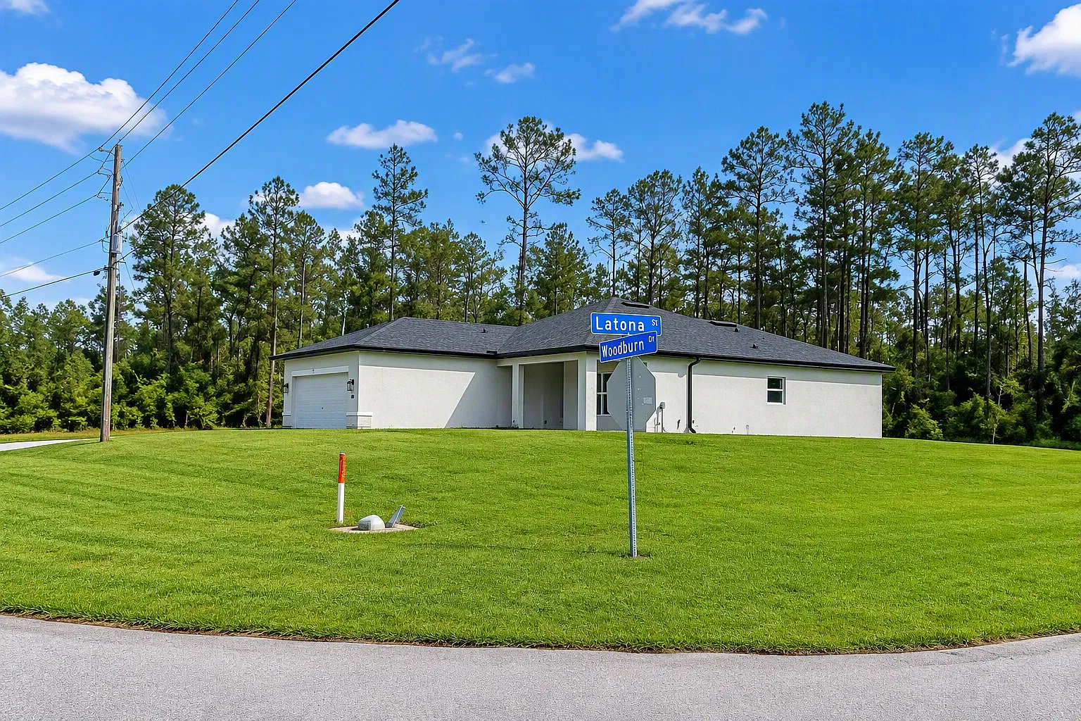 3 bed, 1650 sqft, $2,000 — Photo 3