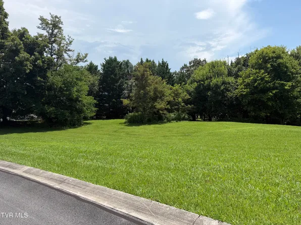 LOT 178 Harbor Dr, Mooresburg, TN 37811