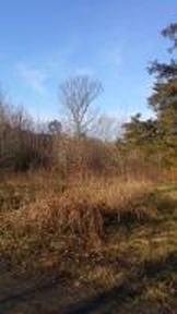 (Undisclosed Address), Russellville, AR, 72802