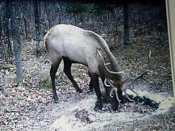 17378 RIGHT OF WAY ROAD, Glidden, WI 54527