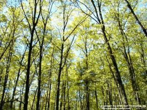 5730 Haasadahl Rd, Orefield, PA 18069