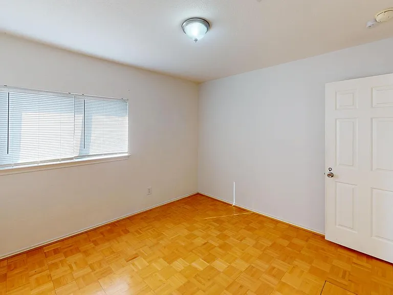 904 Purple Martin Ct — Photo 12
