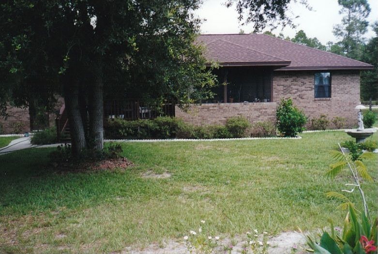 from back yard