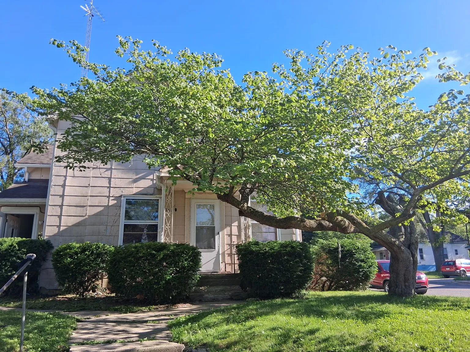 1 bed, 500 sqft, $1,000 — Photo 2