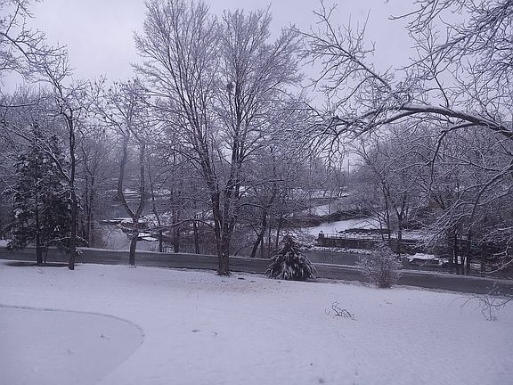 Winter from Front door