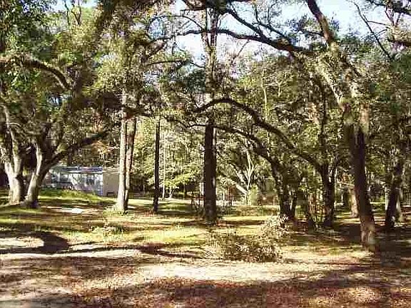 3rd image of 1012 Shady Wood Trl #3