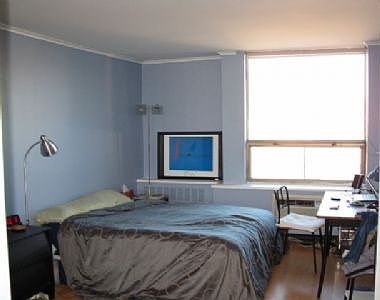 4th image of 1455 N Sandburg Ter APT 2906