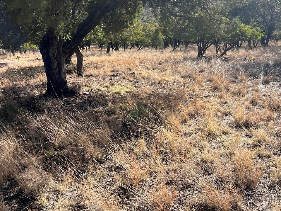 2nd image of 00 Ramsey Canyon -- #-