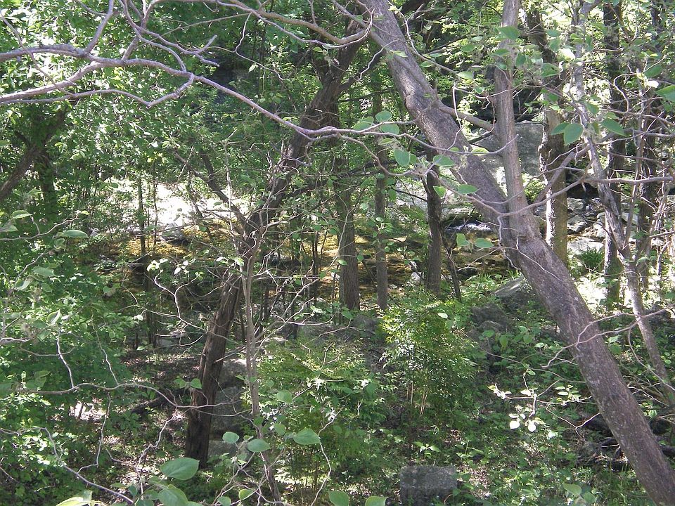 View from the Balcony