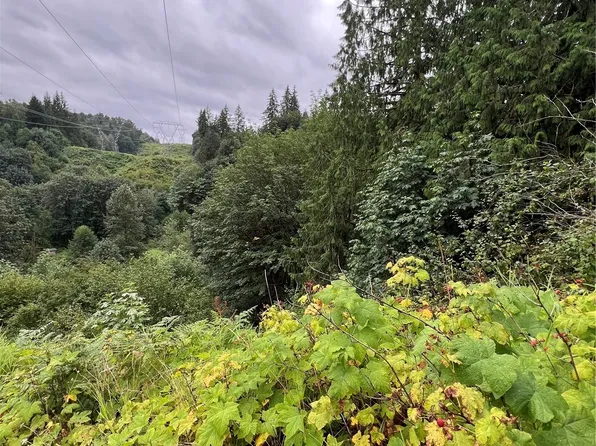 0 308th Avenue NE, Duvall, WA 98019