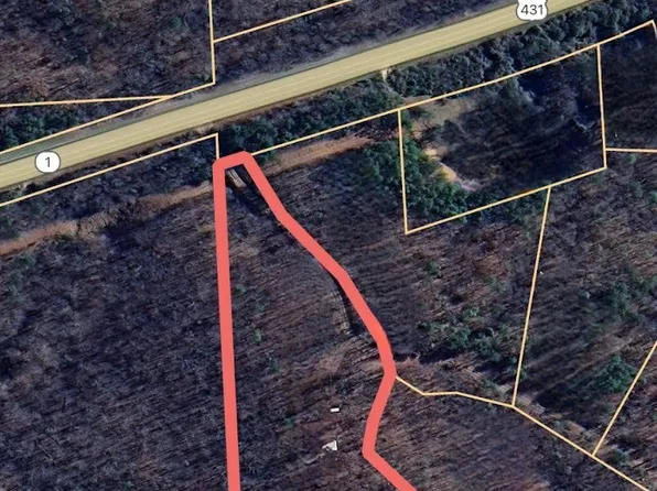 0 Highway 431, Roanoke, AL 36274