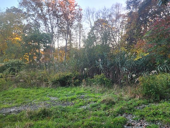 5th image of 190 Old Bulgarmarsh Rd