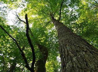 265 Shady Dr, Mars Hill, NC 28754