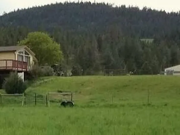 1738 Dry Creek Rd, Chewelah, WA 99109