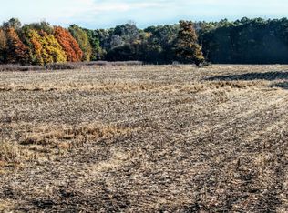 Vl 10th Ave, Gobles, MI 49055