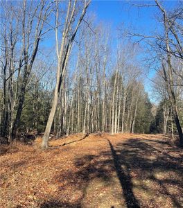 0 Mason Dixon Hwy, Salisbury, PA, 15558