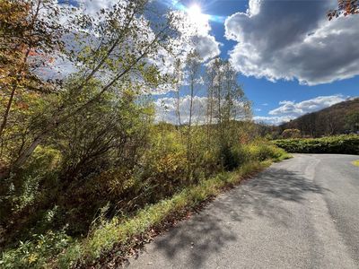 295 Old Plank Rd, Deposit, NY, 13754