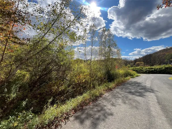 295 Old Plank Rd, Deposit, NY 13754