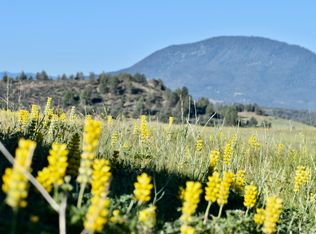 98 Mescal Dr, Hornbrook, CA 96044