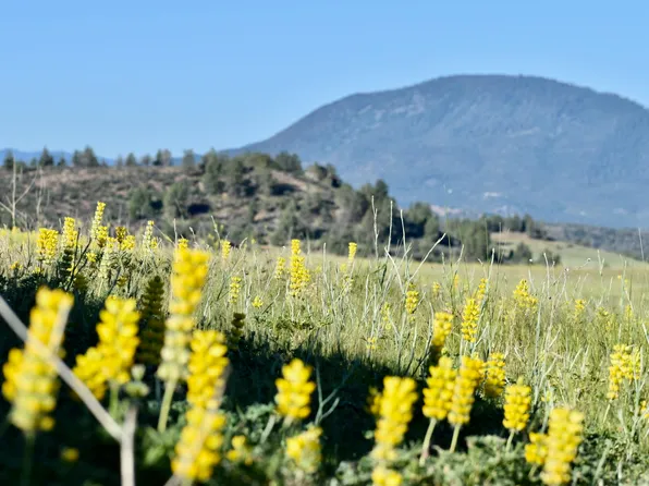 98 Mescal Dr, Hornbrook, CA 96044