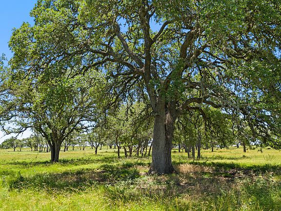 5th image of TBD TR2 Lindeman Ln