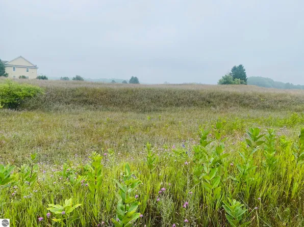 Villa 2 Sara Ln, Lake Ann, MI 49650