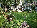 low maintenance perennials