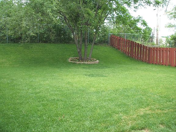 Part of the fenced yard