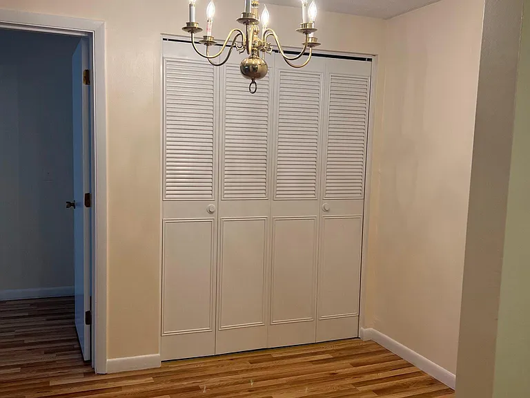 Closet view from kitchen