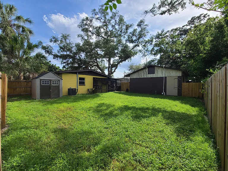 Back yard