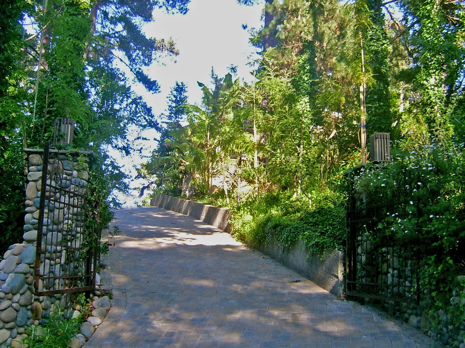 25197 Canyon Dr — Photo 2