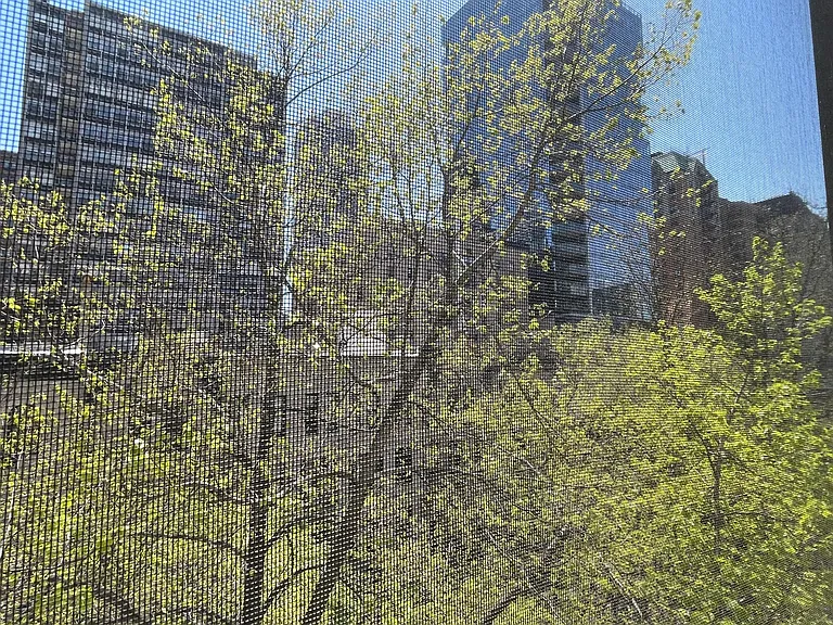 30 E Division St #4C — Photo 10