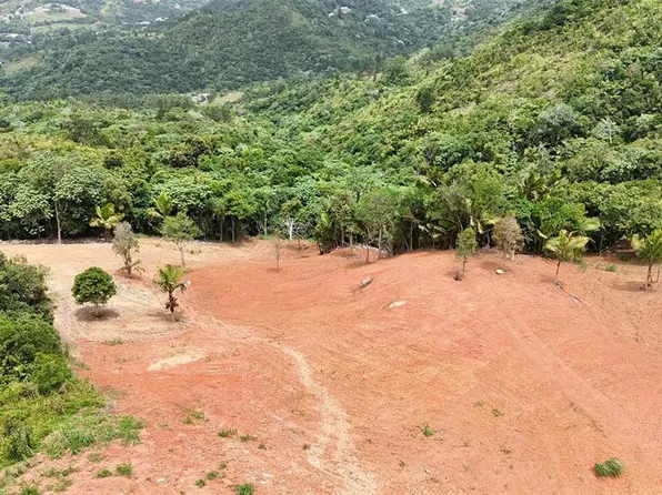 PR 770 KM 2.9 PARCELA 3 PALO HINCADO, BARRANQUITAS, PR 00794
