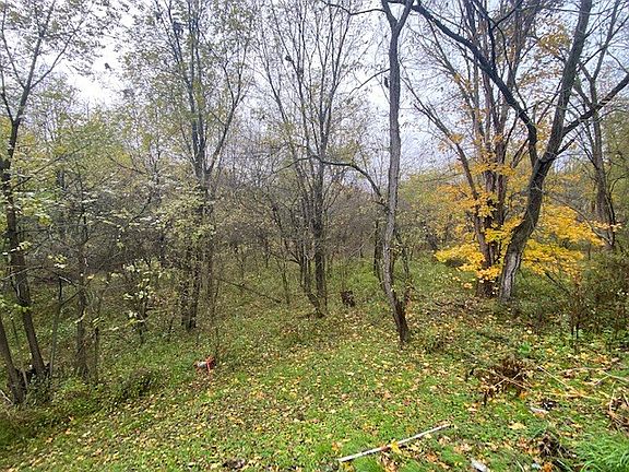 5th image of 777 Township Road 1904