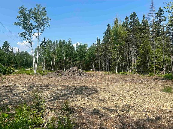 5th image of 0 Meadows Rd