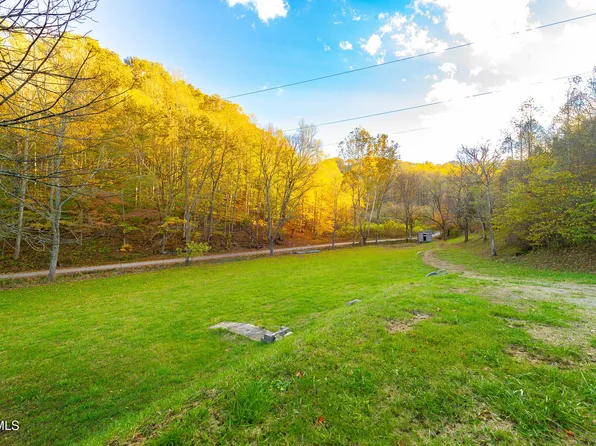 1668 Fowlers Branch Rd, Hiltons, VA 24258