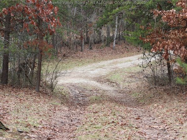 214 Spruce Run Rd, Ripley, WV 25271