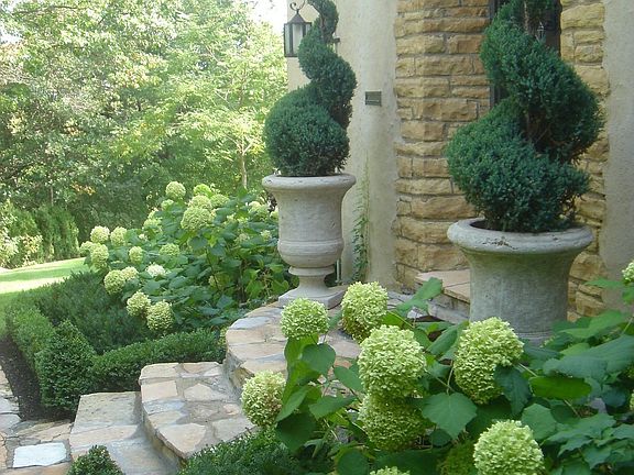 Spectasular .68 Acre lot with views